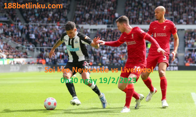 Newcastle vs Liverpool, 0h30 ngày 19/2/2023